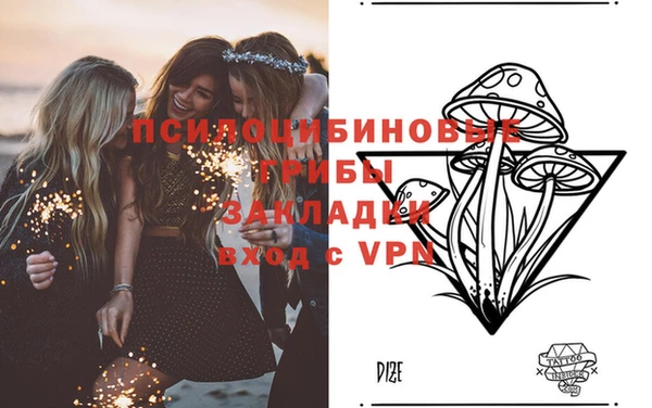 крисы Абинск
